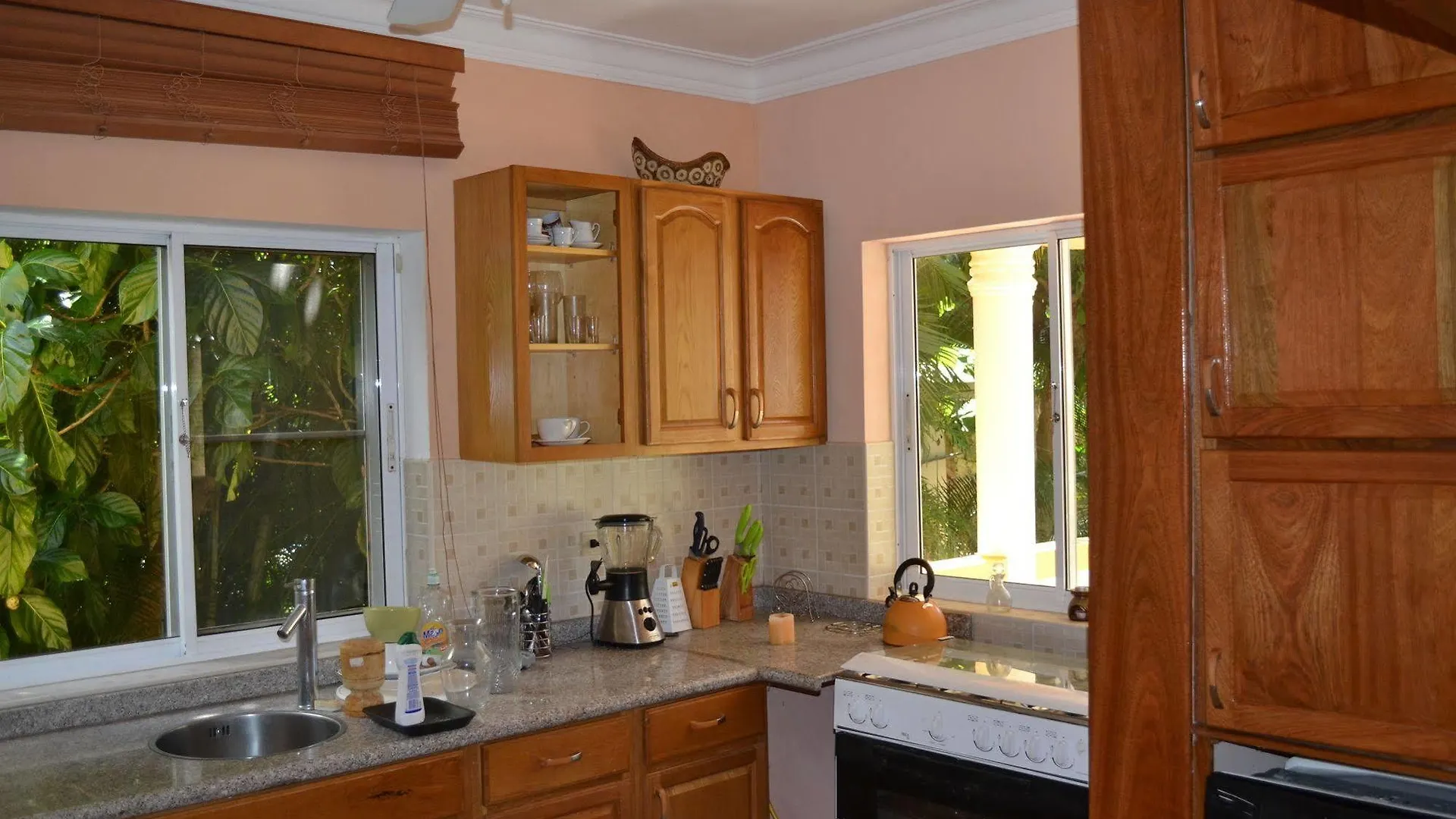 4 Bedroom Villa, Private Pool, Security, Ocean View Sosúa جمهورية الدومينيكان