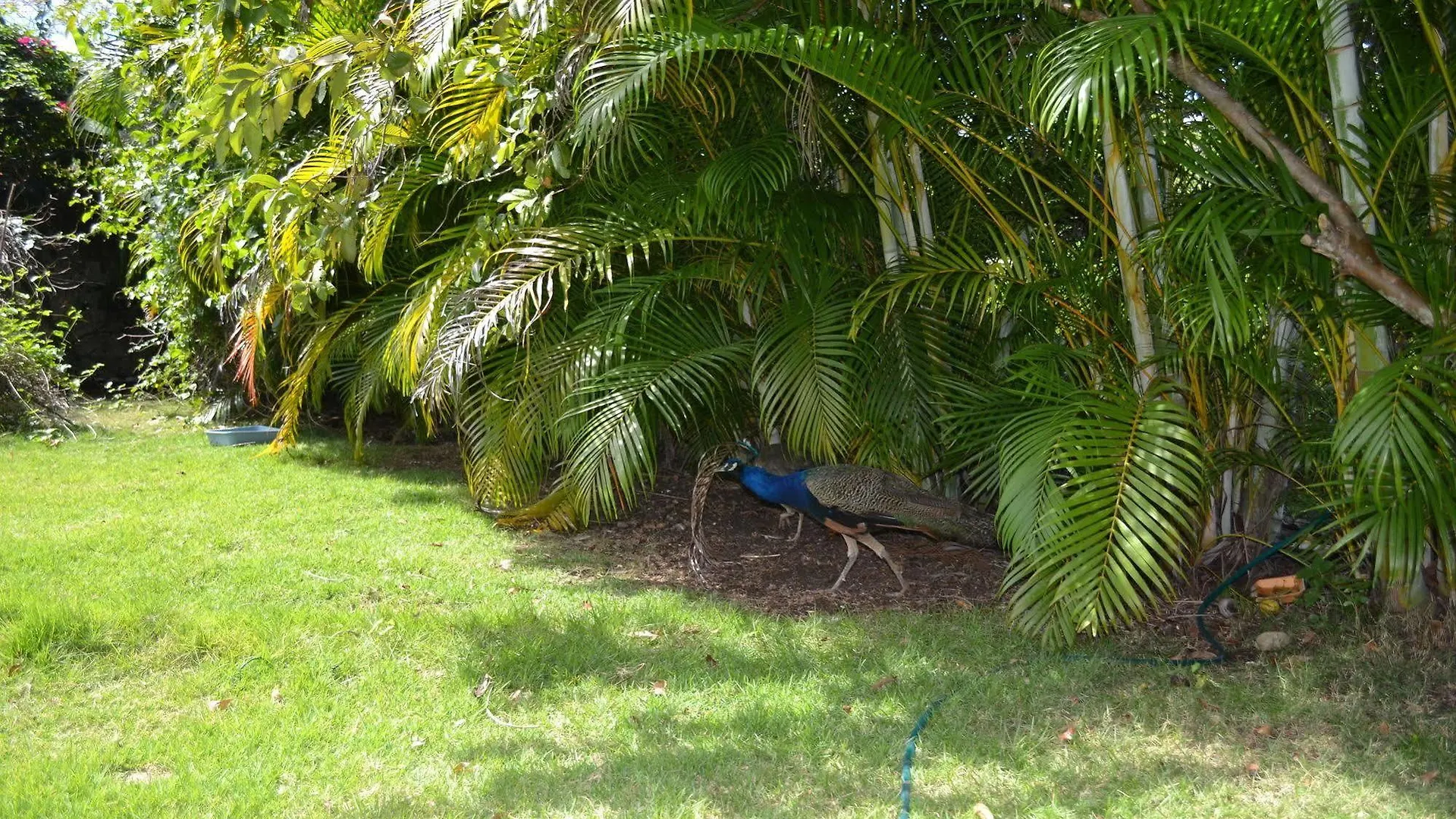فندق 4 Bedroom Villa, Private Pool, Security, Ocean View Sosúa